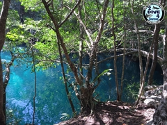 Mexico Cenotes 32