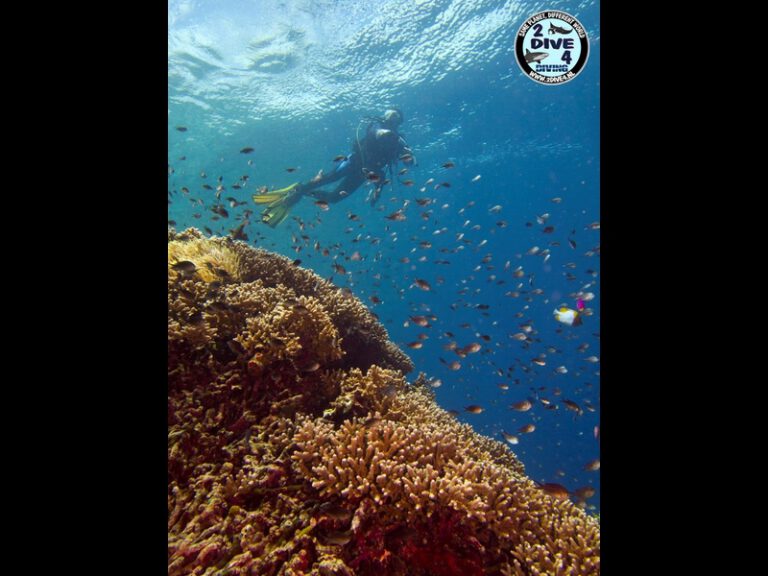 Bunaken 62