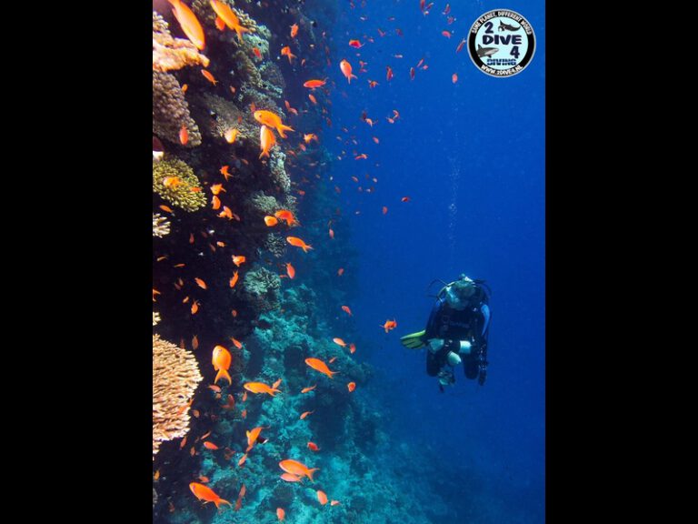 Hurghada 26