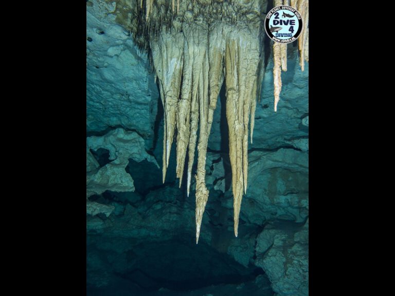 Mexico Cenotes 56