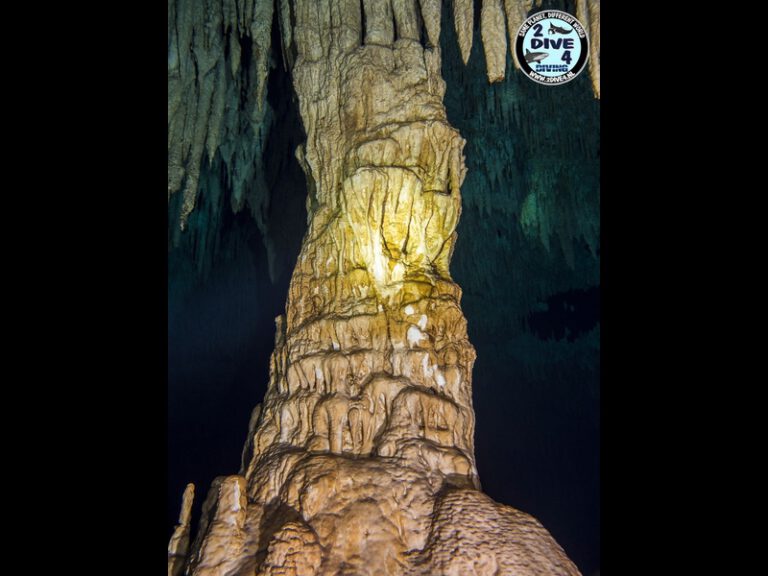 Mexico Cenotes 57