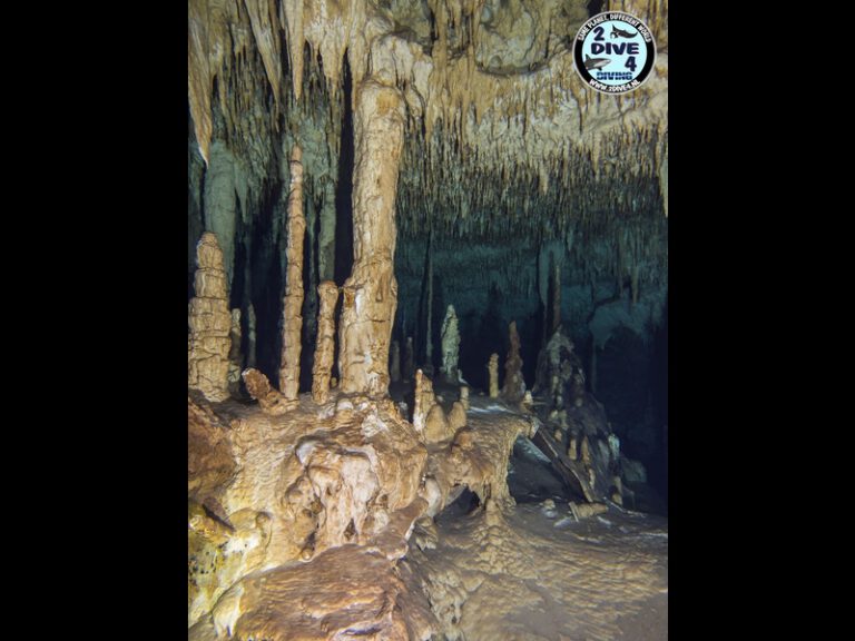 Mexico Cenotes 62