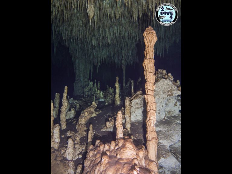 Mexico Cenotes 63