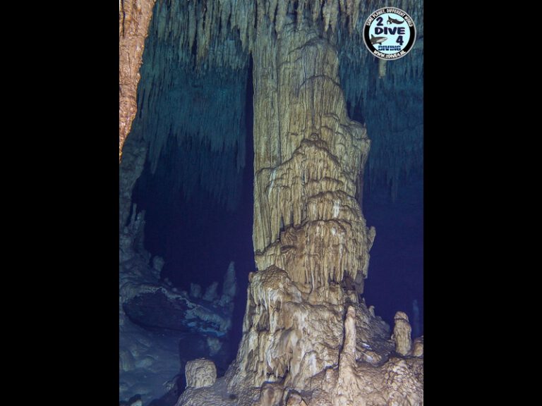 Mexico Cenotes 71