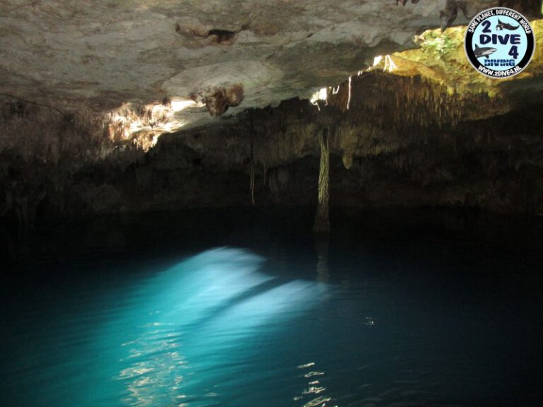 Mexico Cenotes 76