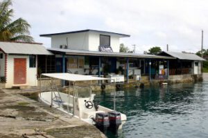 fish n fins1