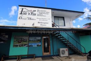 fish n fins2