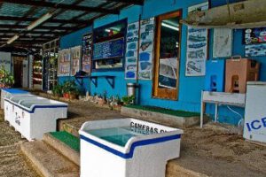 fish n fins5