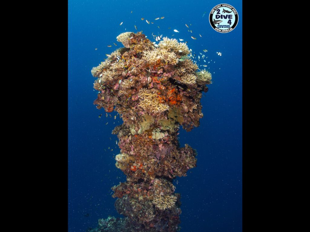 Palau_2022 44