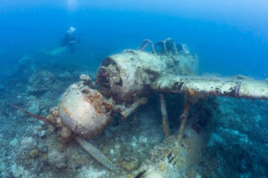 wrecks_jake_carousel_11