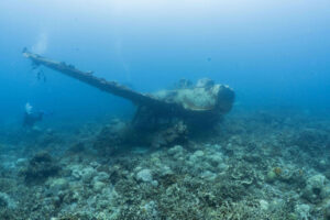 wrecks_jake_carousel_2