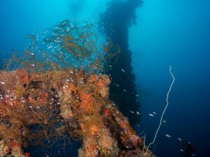 Diving the Teshio Maru