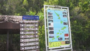 Piaynemo - Fam Islands trip- Raja Ampat