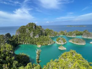 Piaynemo - Fam Islands trip- Raja Ampat