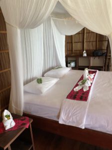 Review Kri Eco resort - Raja Ampat
