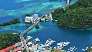 Review Fish 'n Fins Palau