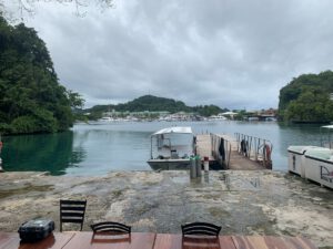 Review Fish 'n Fins Palau