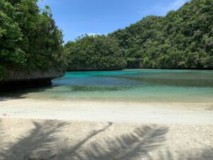 Review Sea passion hotel Palau