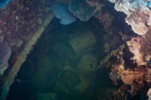 The IJN IRO wreck Palau Micronesia