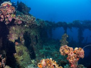 The IJN IRO wreck Palau Micronesia