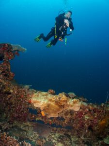 The IJN IRO wreck Palau Micronesia