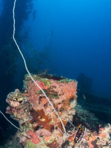Chuyo maru wreck - Palau