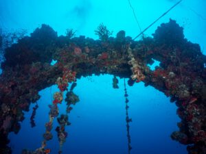 Chuyo maru wreck - Palau