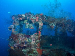 Chuyo maru wreck - Palau