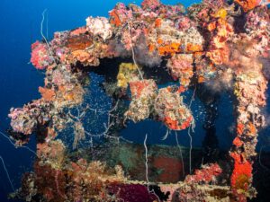 Chuyo maru wreck - Palau
